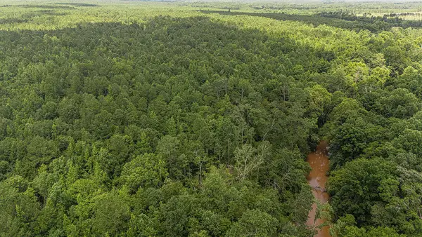 Tbd Burton Drive, Edgefield, SC 29824