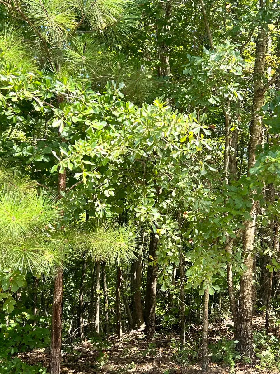 2121 Southlake Parkway, Augusta, GA 30906 - #2