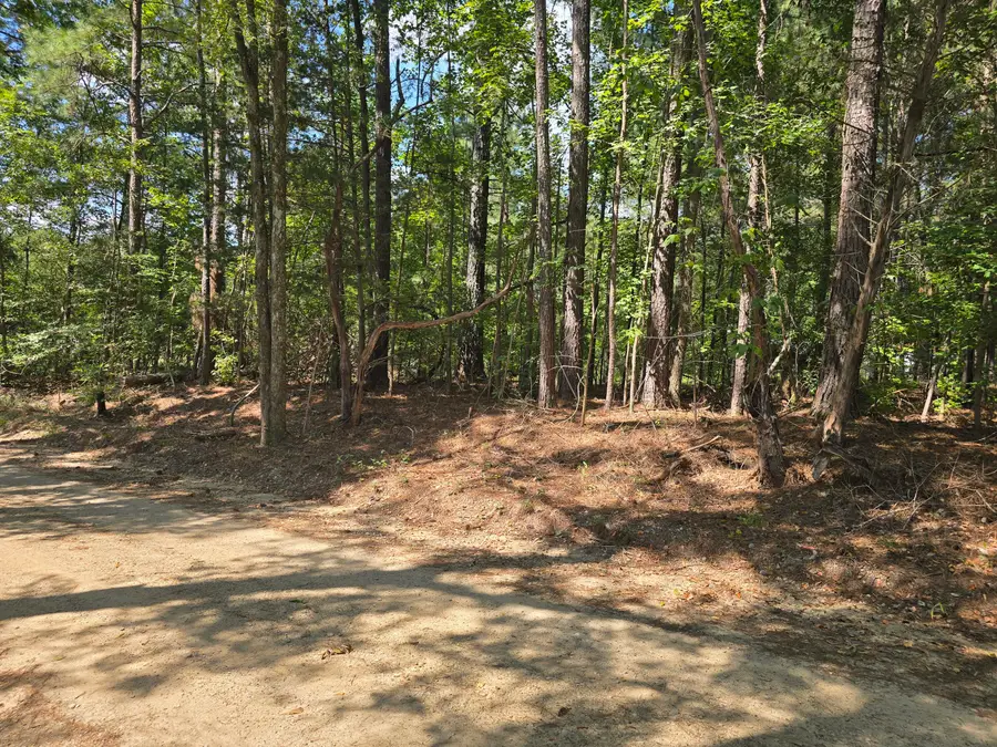 15 Dyches Road, Grovetown, GA 30813 - Image #3