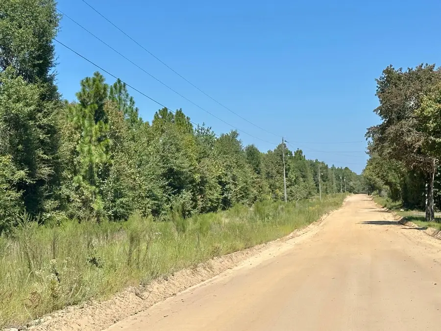 Lot 11 Marie Vann Road, Waynesboro, GA 30830 - Image #2
