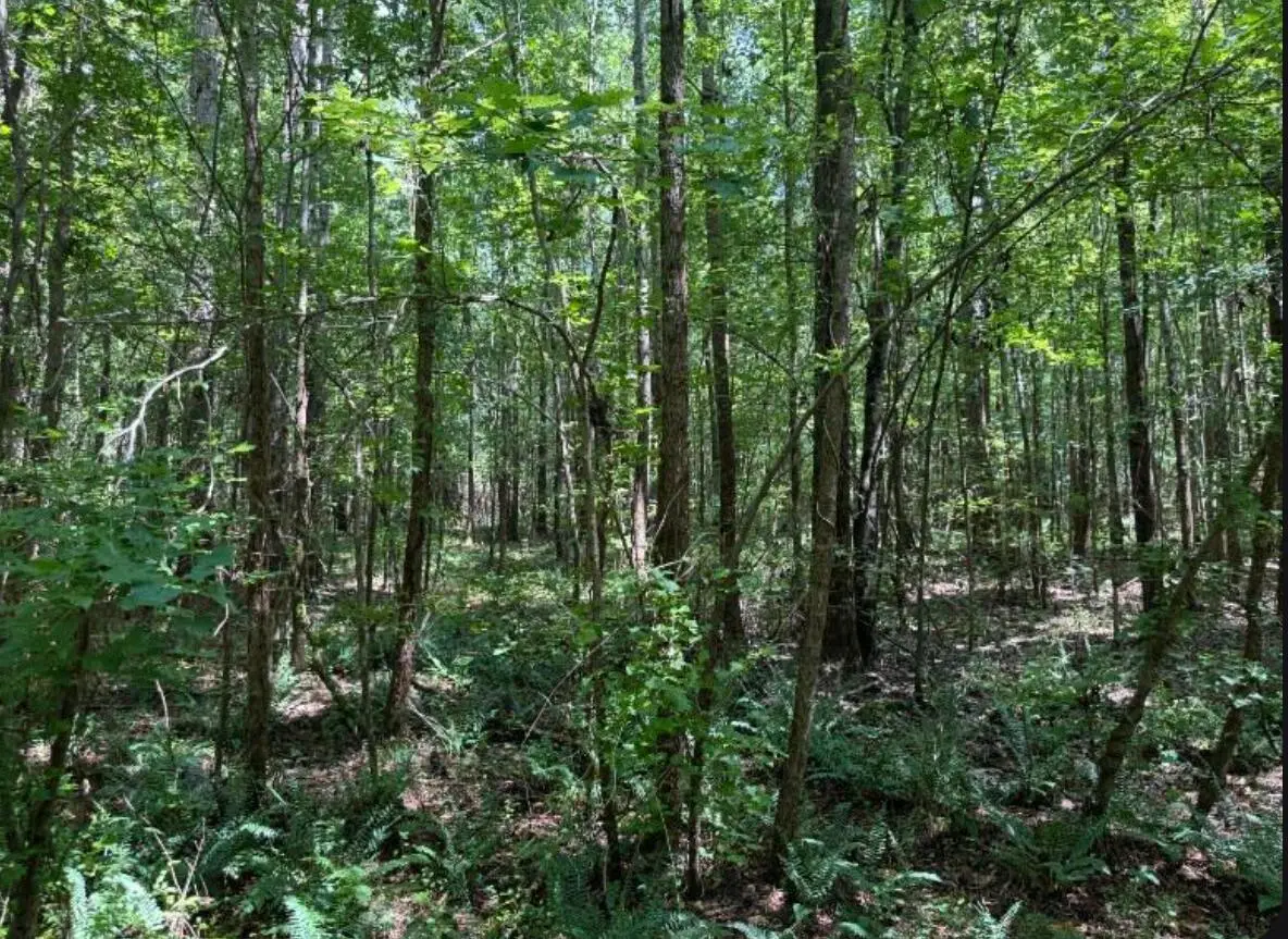 Tbd 8.5 Ac Atomic, Beech Island, SC 29842 - Image #1