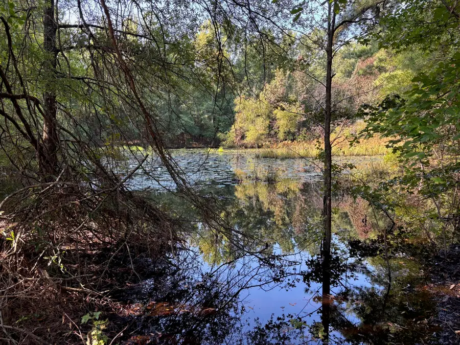 1460 Whitetown Road, McCormick, SC 29835 - Image #2