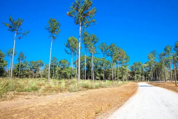 510 Rabbit Pen Drive, Appling, GA 30802