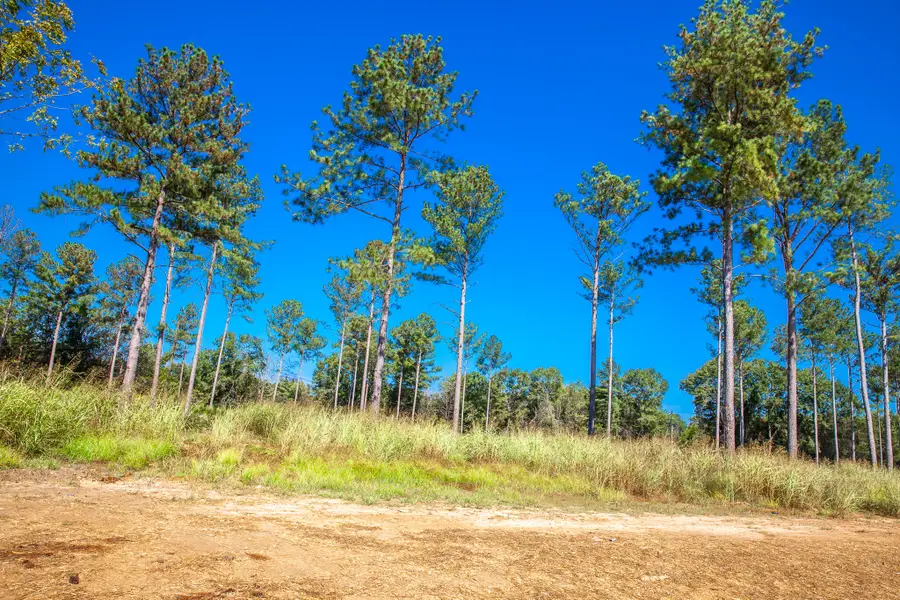 510 Rabbit Pen Drive, Appling, GA 30802 - Image #2