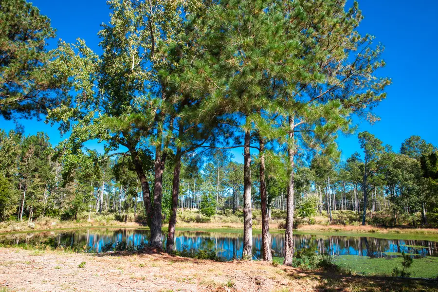 6355 Cobbham Road, Appling, GA 30802 - Image #2