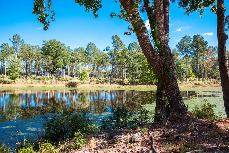 6355 Cobbham Road, Appling, GA 30802 - Image #3