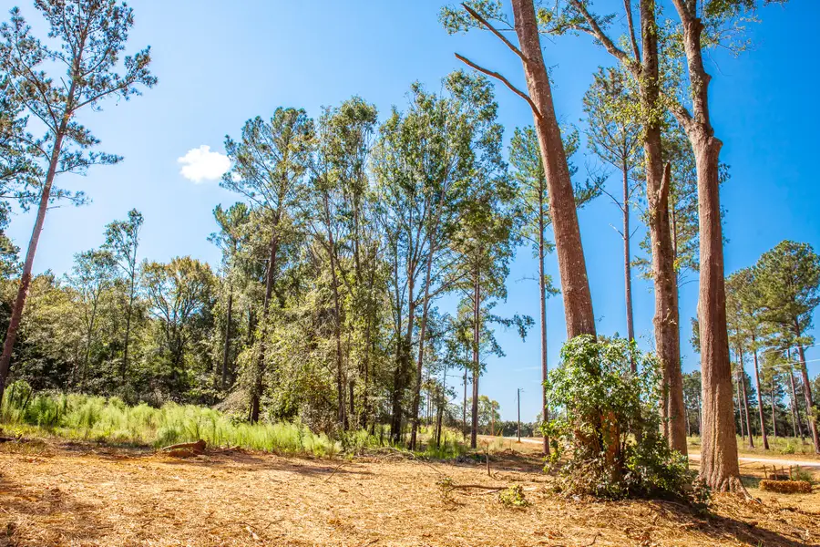 535 Rabbit Pen Drive, Appling, GA 30802 - Image #2