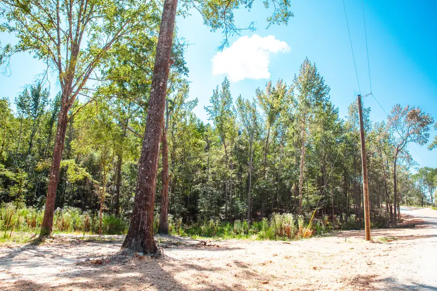 555 Rabbit Pen Drive, Appling, GA 30802 - Image #2