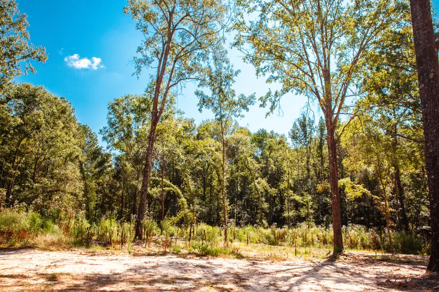 555 Rabbit Pen Drive, Appling, GA 30802 - Image #3