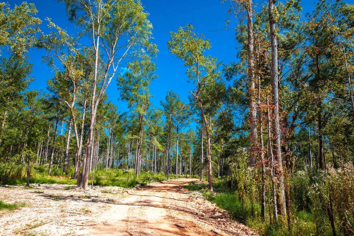 575 Rabbit Pen Drive, Appling, GA 30802 - Image #1