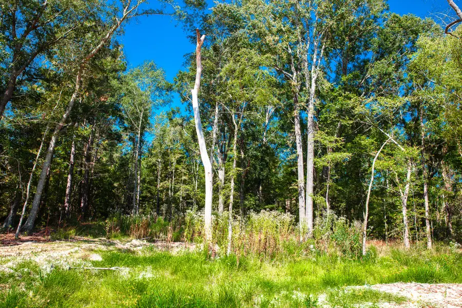 575 Rabbit Pen Drive, Appling, GA 30802 - Image #3