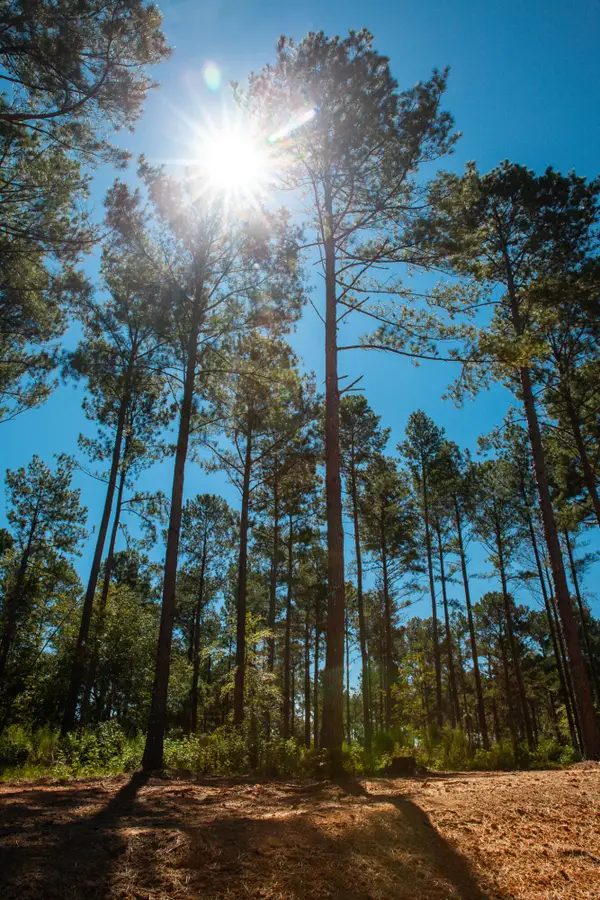 6345 Cobbham Road, Appling, GA 30802