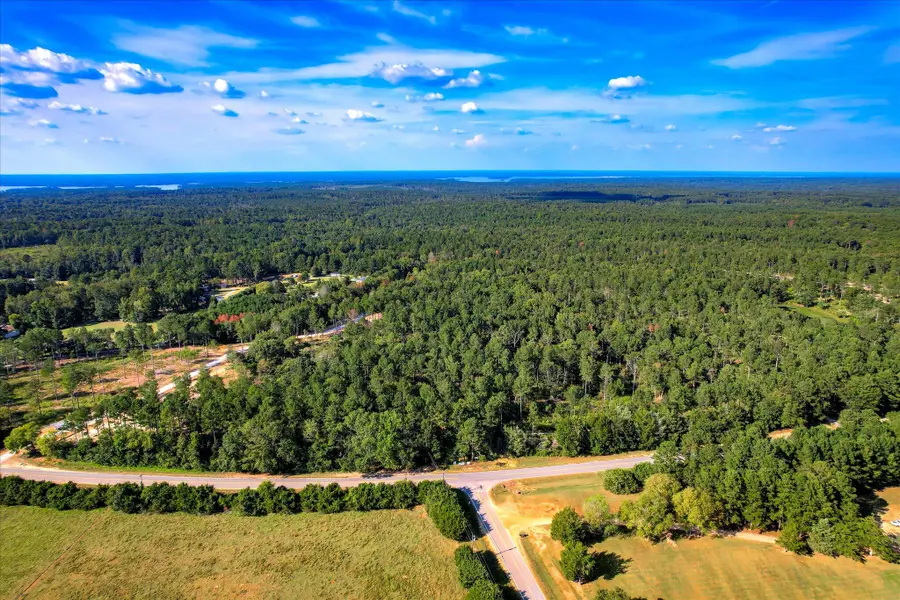 6345 Cobbham Road, Appling, GA 30802 - Image #2