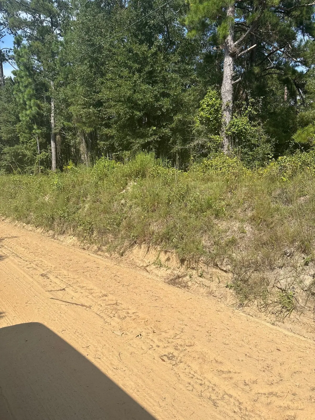 000 Wrens Highway, Thomson, GA 30824 - Image #1