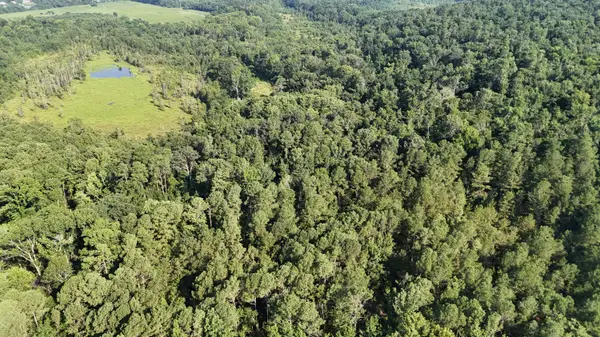 0 Swamp Road, Beech Island, SC 29842