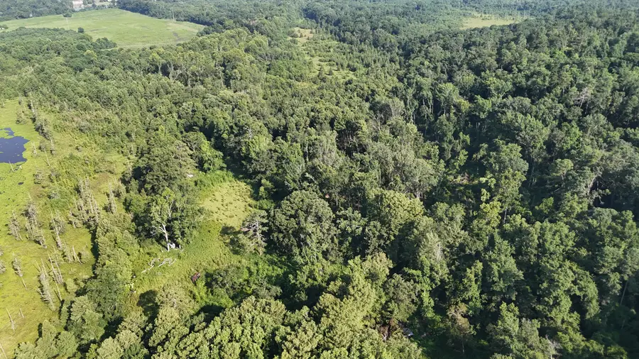 0 Swamp Road, Beech Island, SC 29842 - #3