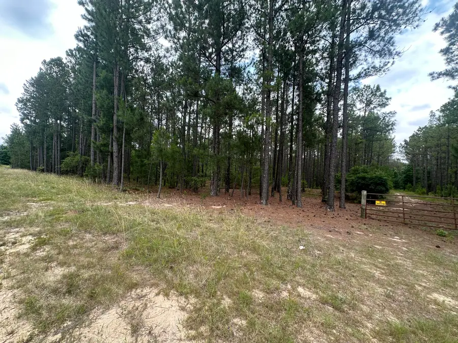 0 Chalk Bed Road, Graniteville, SC 29829 - Image #2