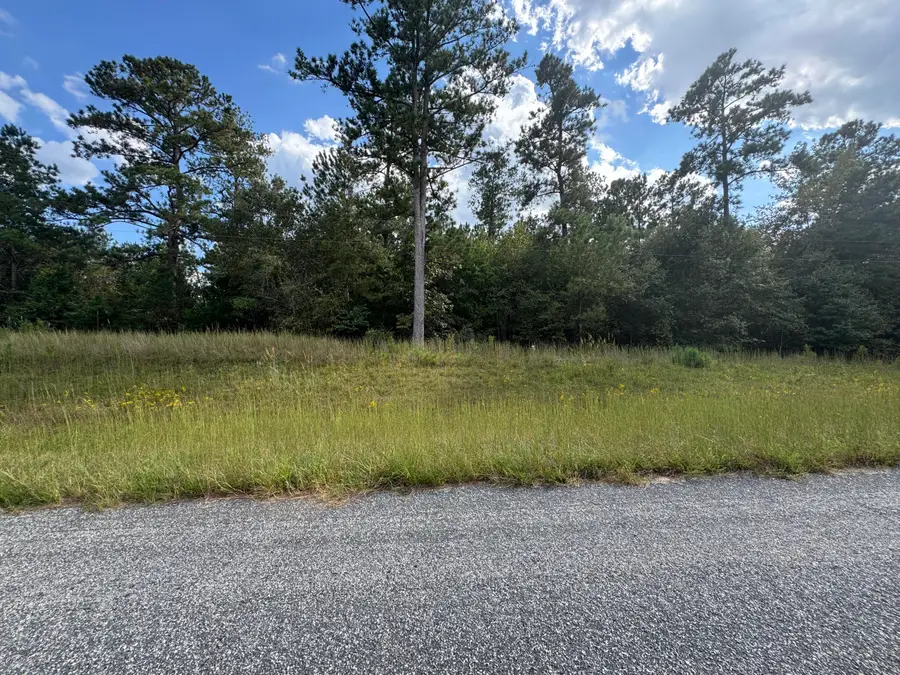 0 Thankful Church Road, Lincolnton, GA 30817 - Image #3