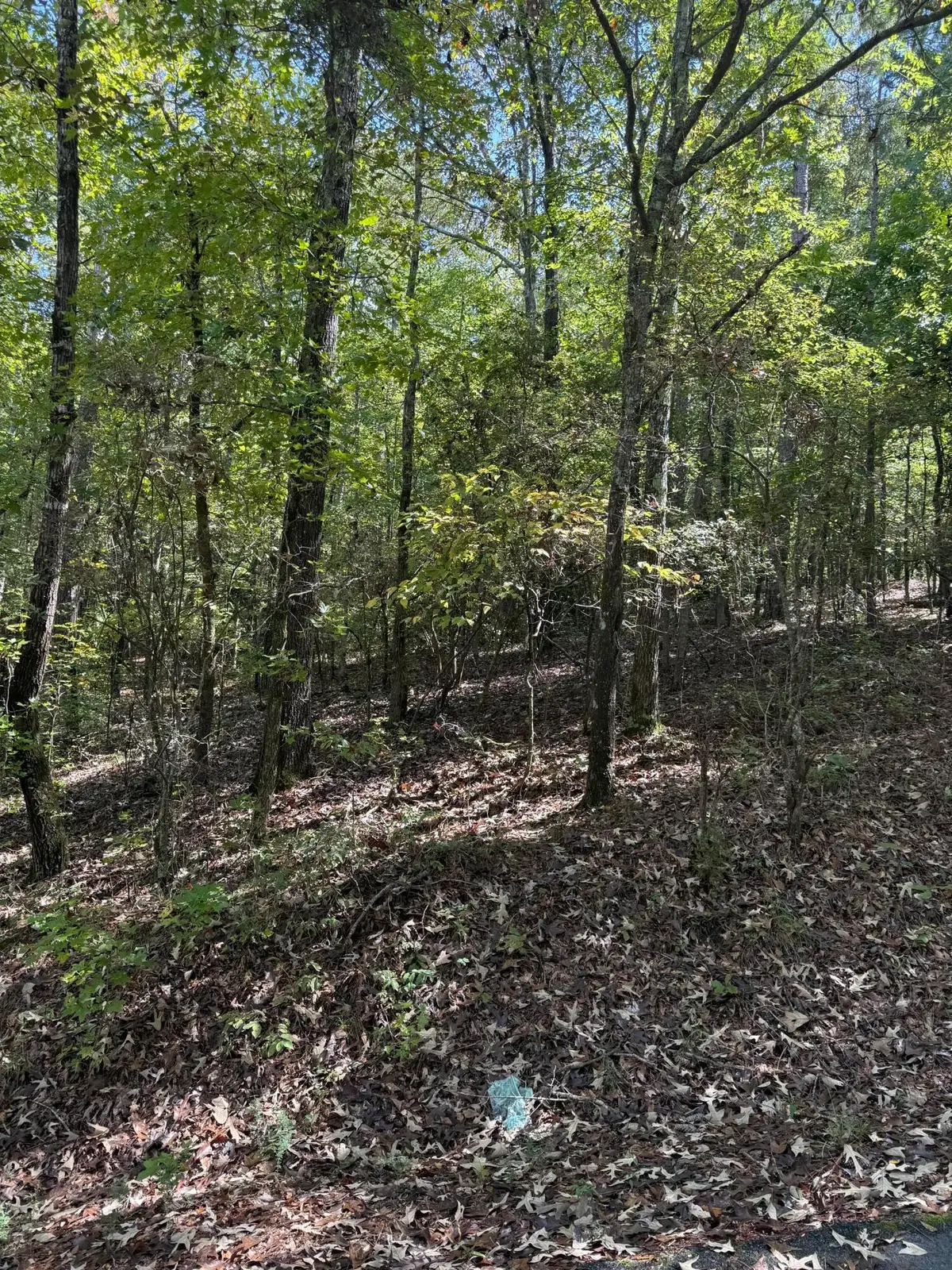 Lot 14b Lbk Circle, Tignall, GA 30668 - Image #1