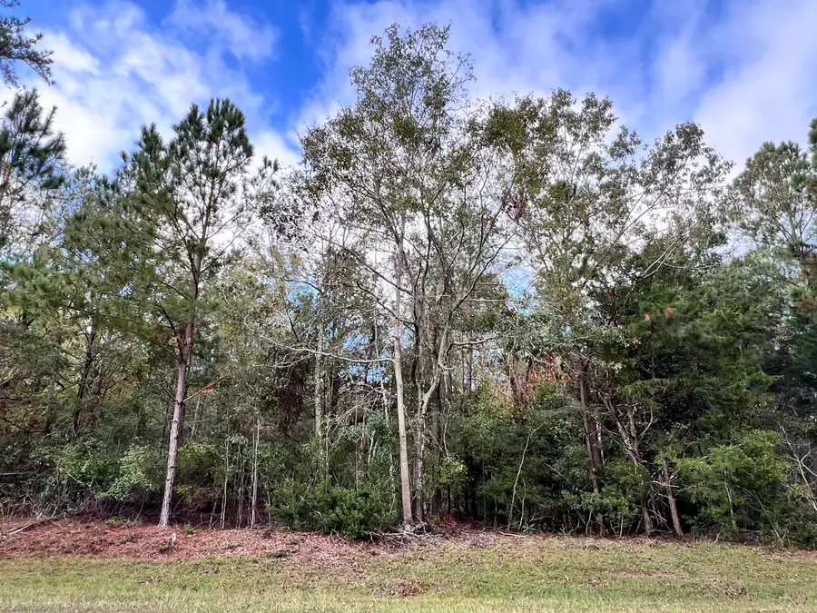 Lot B Ridge Road, Appling, GA 30802 - Image #3