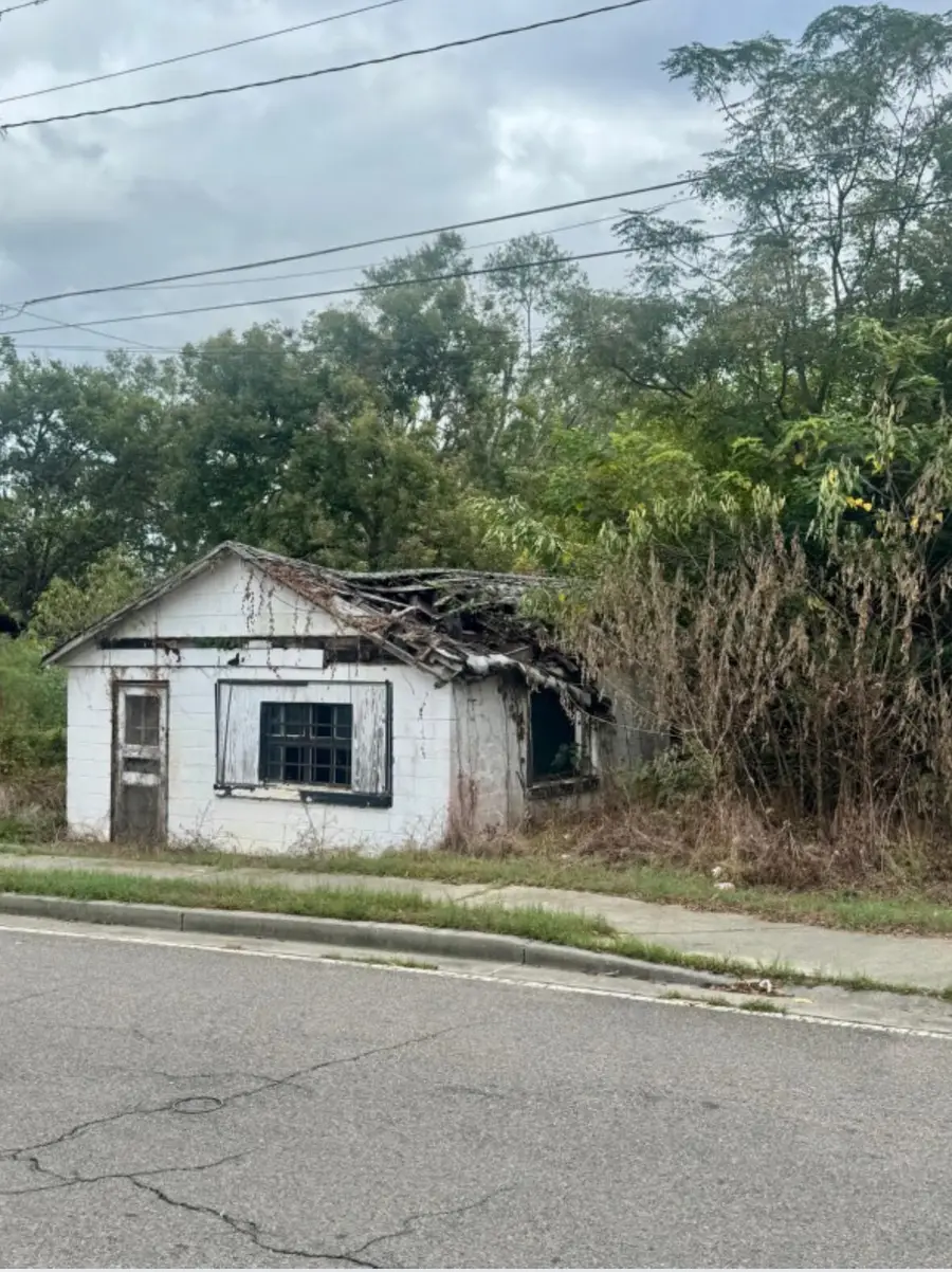 816 Perry Street, Waynesboro, GA 30830 - Image #3