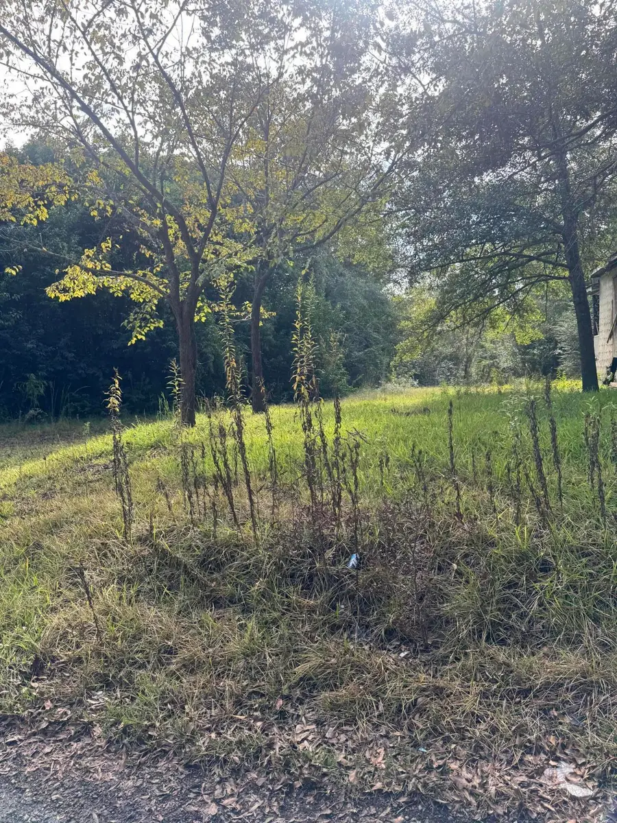 825 Railroad Avenue, Waynesboro, GA 30830 - Image #2