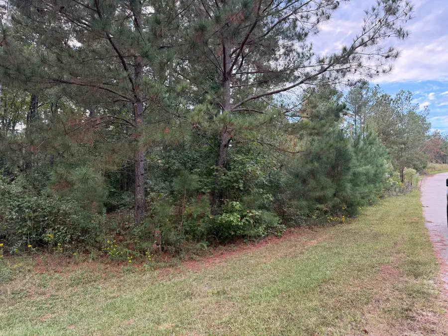 13 Pindo Pass, North Augusta, SC 29860 - Image #2