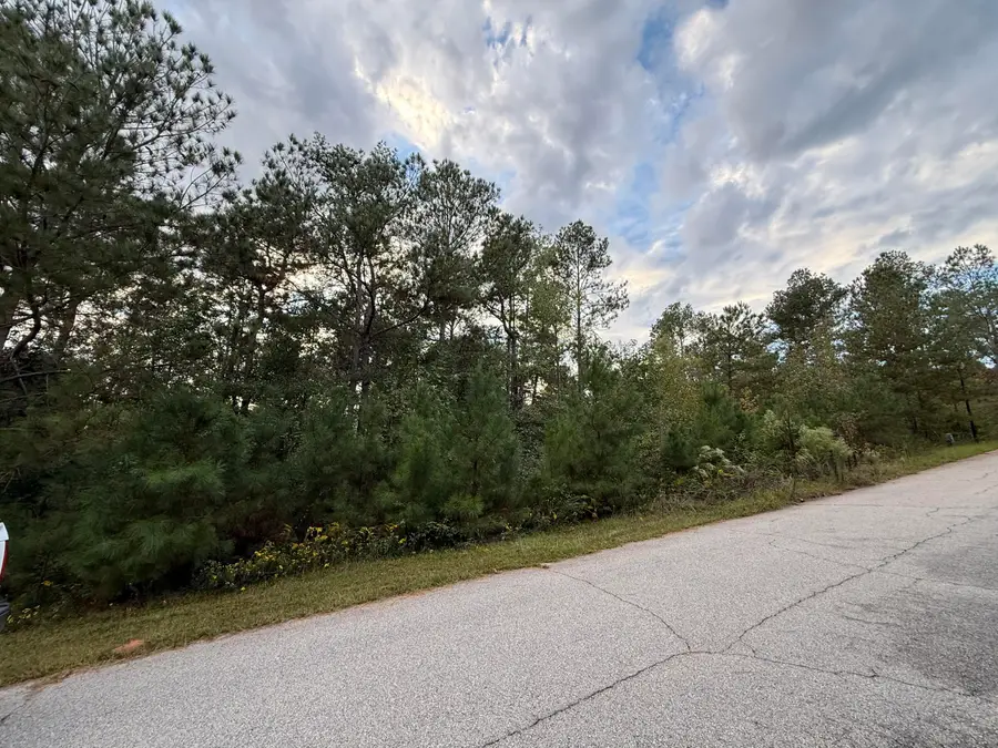 13 Pindo Pass, North Augusta, SC 29860 - Image #3