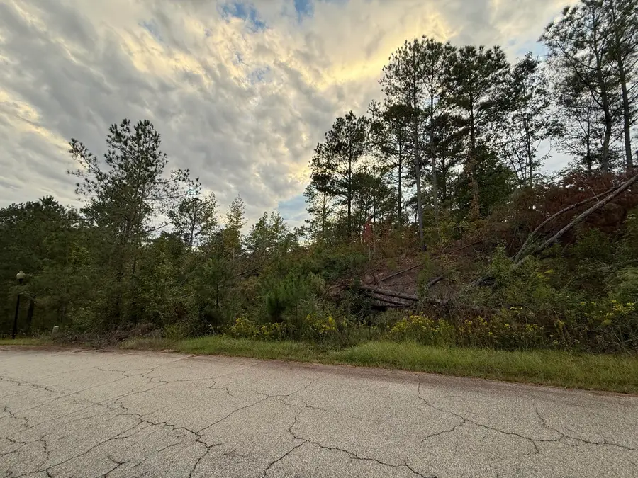 14 Pindo Pass, North Augusta, SC 29860 - Image #2