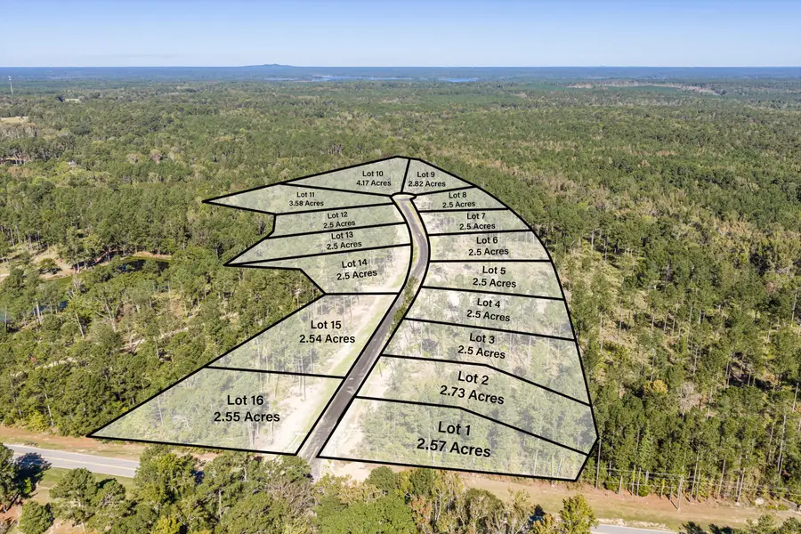 166 Beagle Chase Drive, Appling, GA 30802 - Image #2