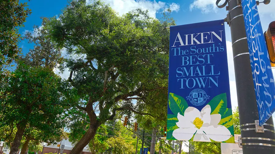 4018 Shy Boy Cove, Aiken, SC 29803 - #3