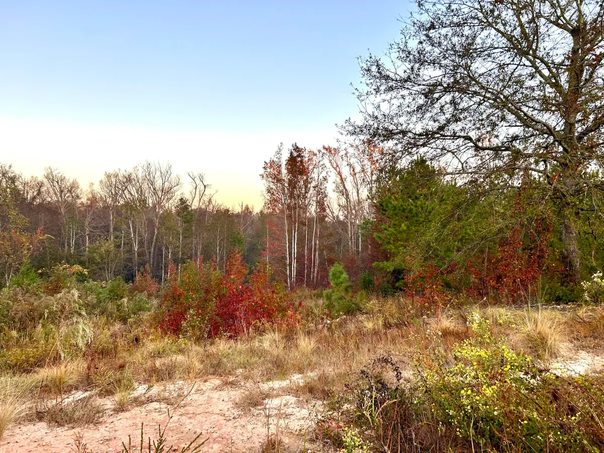 2652 New Hope Circle, Hephzibah, GA 30815 - Image #1