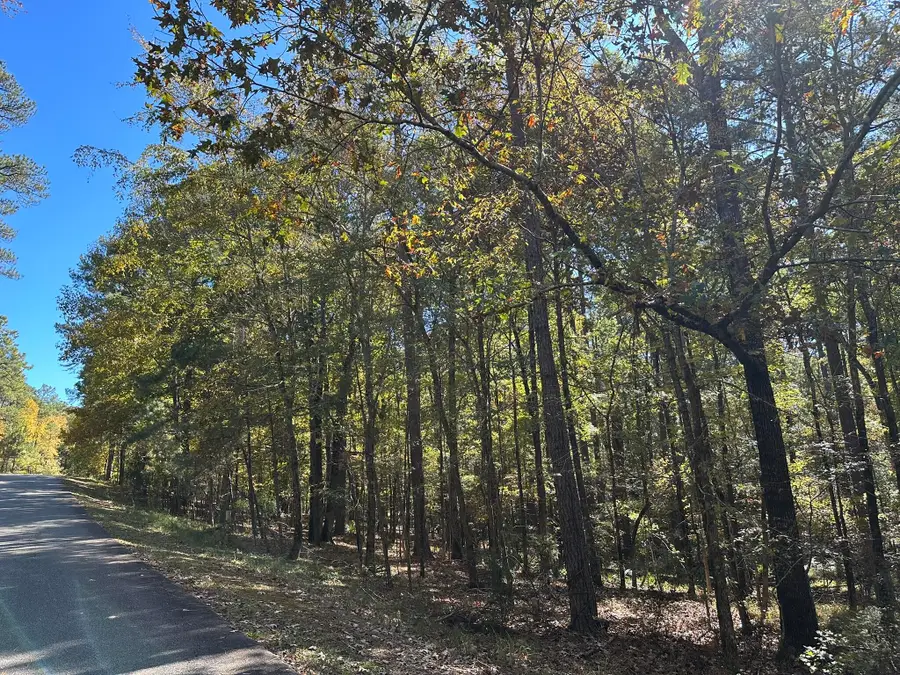 167 Southwind Drive, McCormick, SC 29835 - Image #3