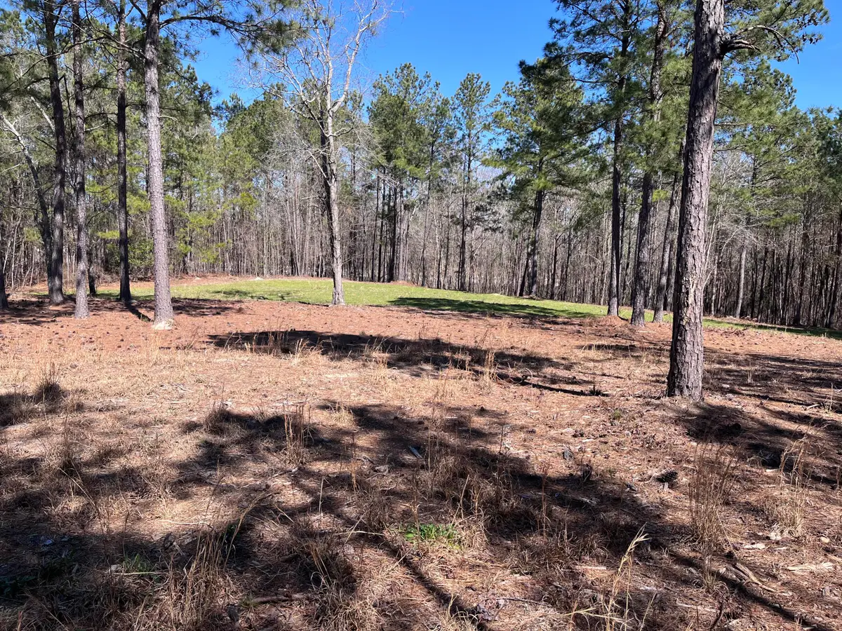 2296 Williams Road Road, Thomson, GA 30824 - Image #1