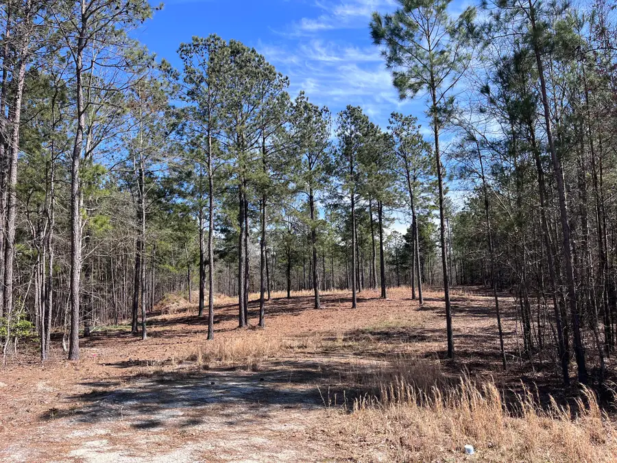 2296 Williams Road Road, Thomson, GA 30824 - Image #2