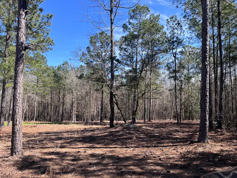 2296 Williams Road Road, Thomson, GA 30824 - Image #3