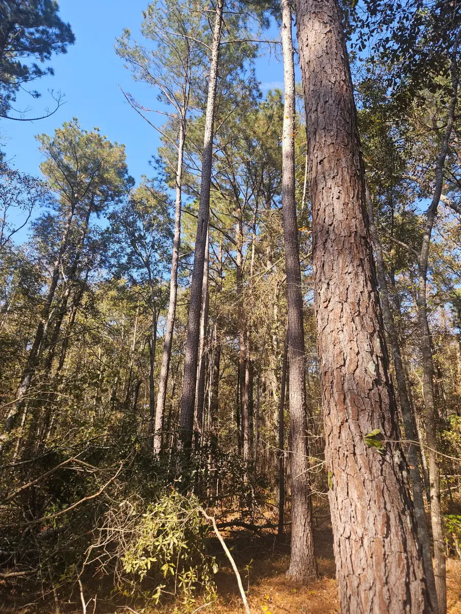 3979 Campground Road, Wrens, GA 30833 - Image #2