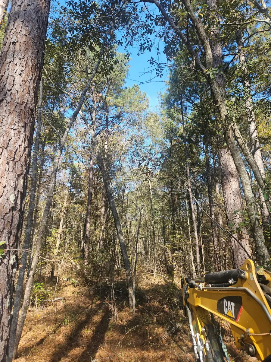 3979 Campground Road, Wrens, GA 30833 - Image #3