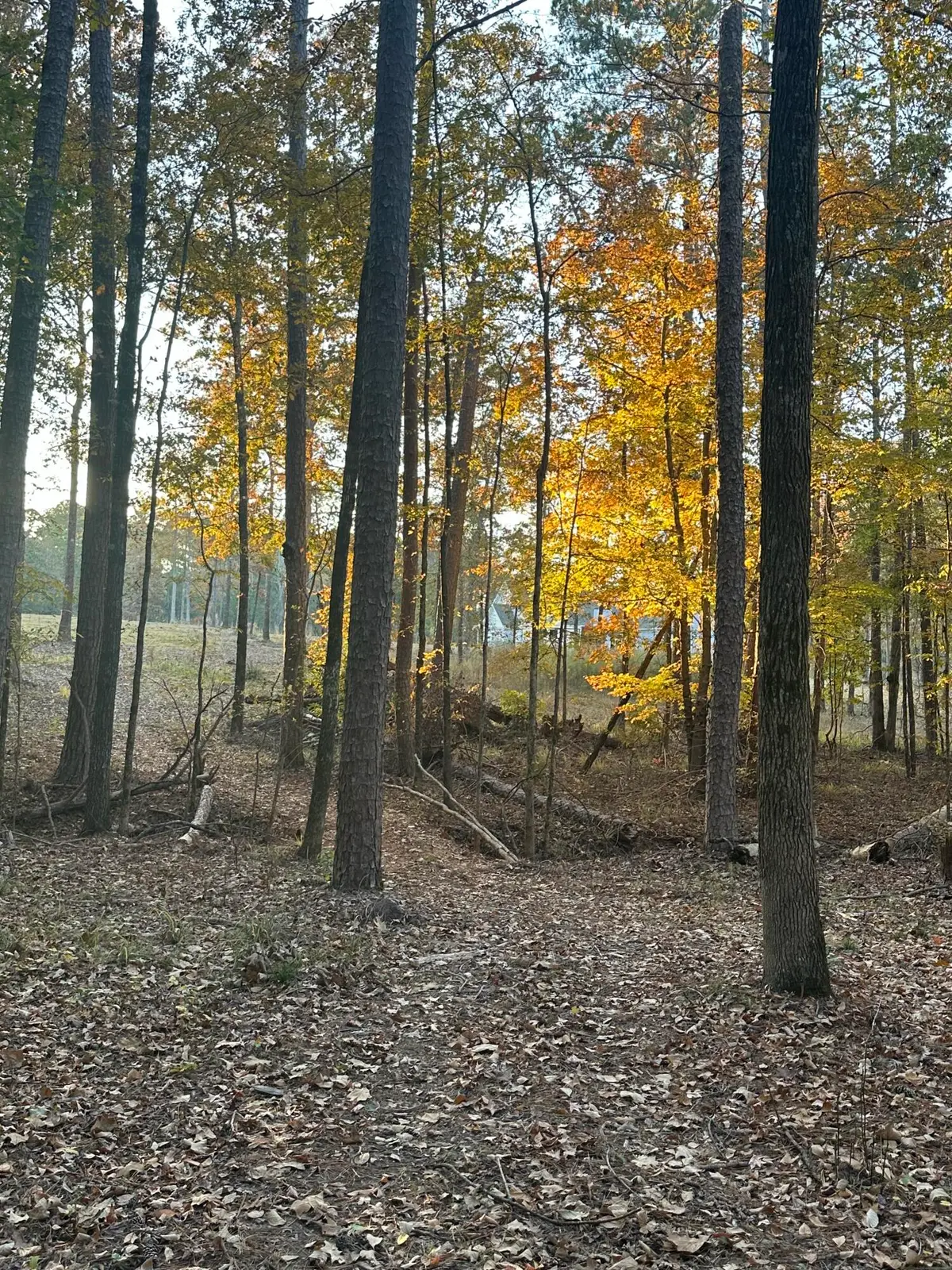 7-3 Long Cove, Lincolnton, GA 30817 - Image #1