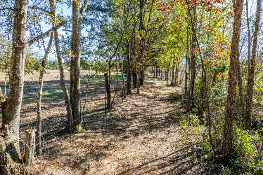0 Mansfield Brown Road, Warthen, GA 31094 - Image #2
