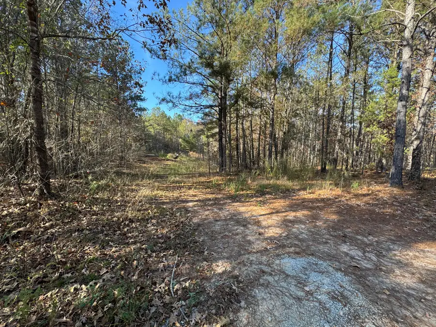 1151 Buckhead Road, Tignall, GA 30668 - Image #2