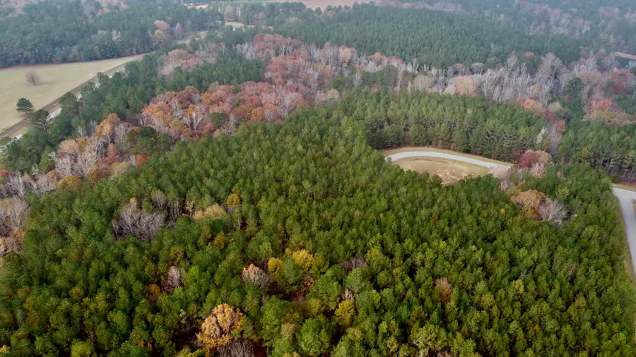 1125 Hunters Landing, Tignall, GA 30668 - Image #3