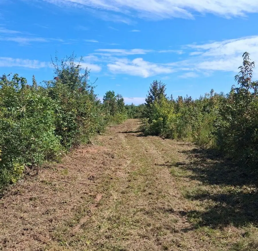 19a Bowie Road, Troy, SC 29848 - Image #2