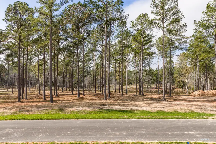 128 Beagle Chase Drive, Appling, GA 30802 - Image #3