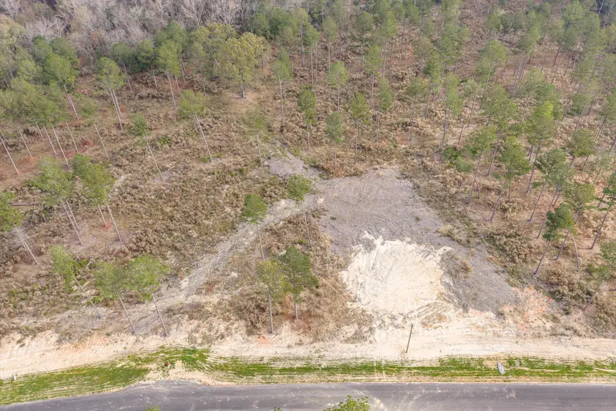 135 Beagle Chase Drive, Appling, GA 30802 - Image #3