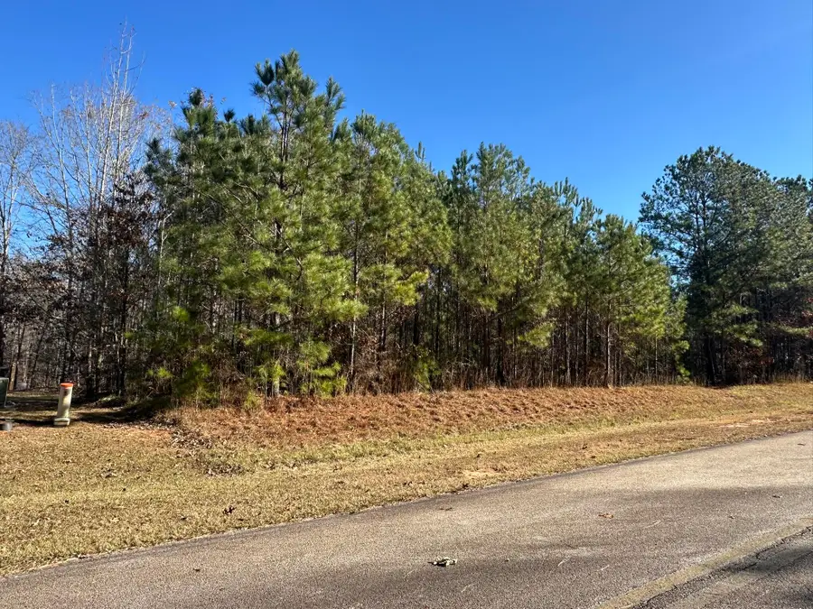Lot 62 Wisteria Drive, Lincolnton, GA 30817 - Image #2