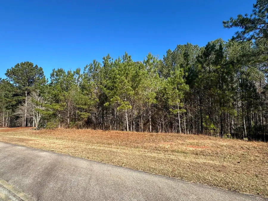 Lot 62 Wisteria Drive, Lincolnton, GA 30817 - Image #3