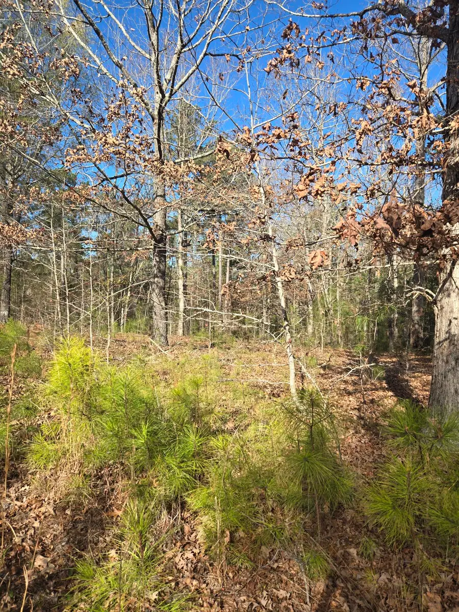 0 Outrigger Drive, Lincolnton, GA 30817 - Image #3