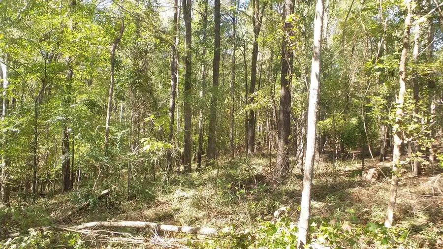 0 Kelly Street, Lincolnton, GA 30817 - Image #3