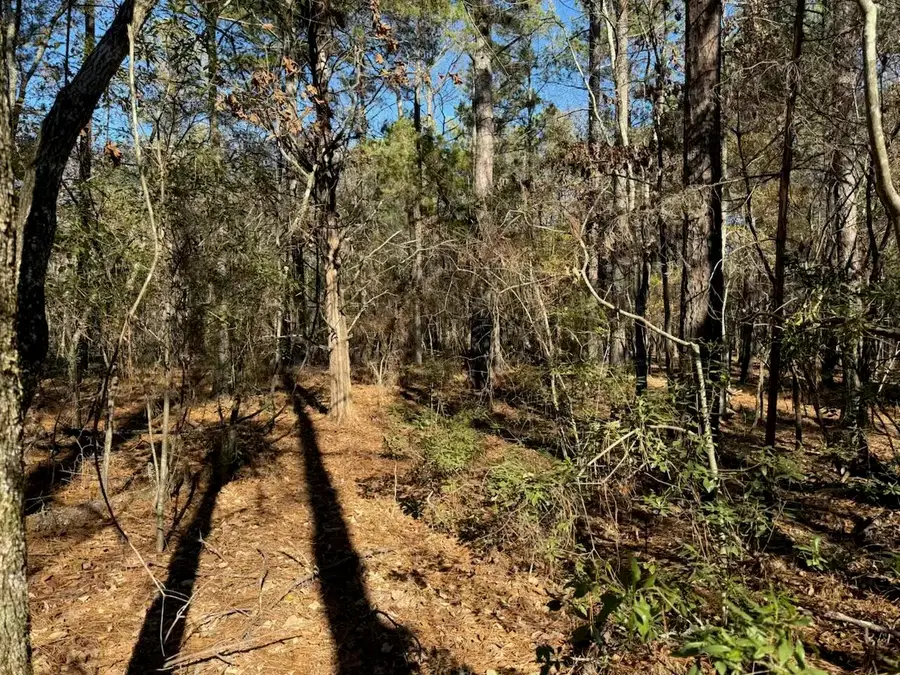 0 Pineywoods Road, Lincolnton, GA 30817 - Image #2